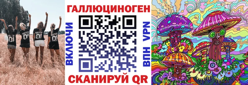 где продают наркотики  Красный Холм  Галлюциногенные грибы мицелий 